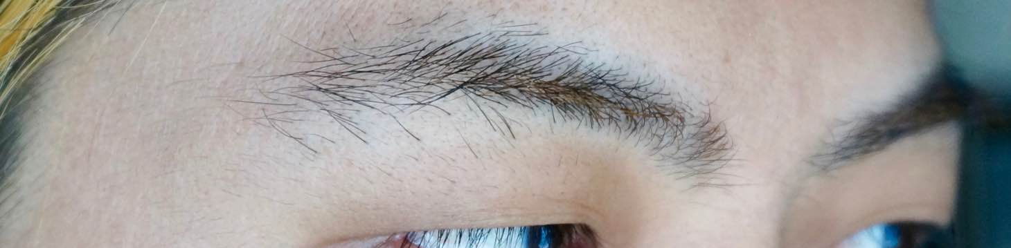 20160116-151739.jpg